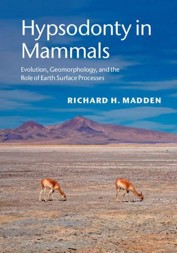 Паперова книга «Hypsodonty in Mammals: Evolution, Geomorphology, and the Role of Earth Surface Processes», автор Річард Х. Медден - фото №1