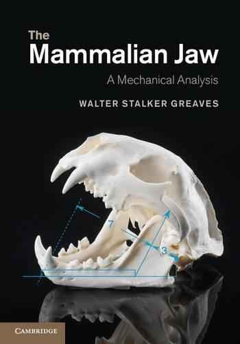 Паперова книга «The Mammalian Jaw: A Mechanical Analysis», автор Волтер Сталкер Грівз - фото №1