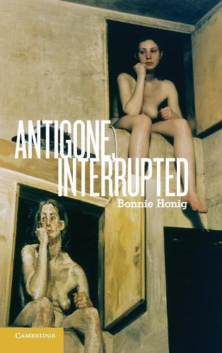 Бумажная книга «Antigone, Interrupted», автор Бонни Хониг - фото №1