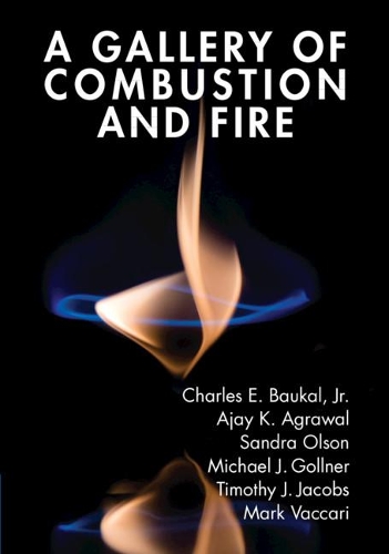Паперова книга «A Gallery of Combustion and Fire», автор Чарльз Е. Баукал-молодший - фото №1