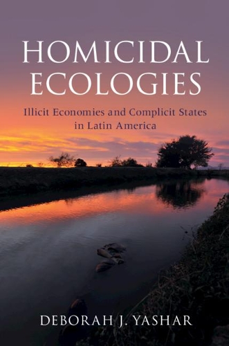 Бумажная книга «Homicidal Ecologies: Illicit Economies and Complicit States in Latin America», автор Дебора Дж. Яшар - фото №1