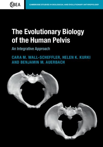 Паперова книга «The Evolutionary Biology of the Human Pelvis: An Integrative Approach», авторів Бенджамін М. Ауербах, Кара М. Волл-Шеффлер, Хелен К. Куркі - фото №1