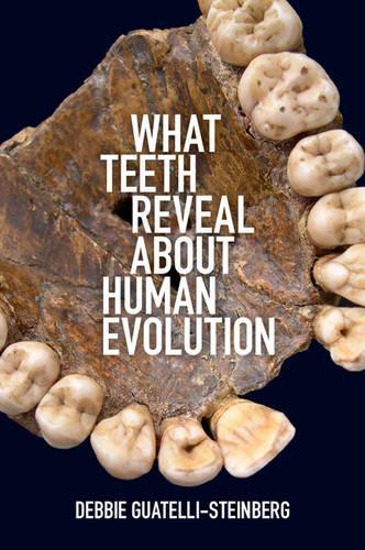 Паперова книга «What Teeth Reveal about Human Evolution», автор Деббі Гуателлі-Штейнберг - фото №1