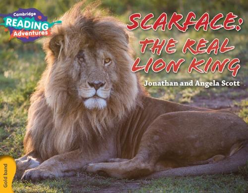 Бумажная книга «Cambridge Reading Adventures Scarface: The Real Lion King Gold Band» - фото №1