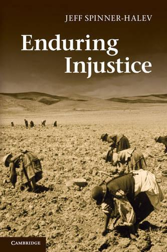 Бумажная книга «Enduring Injustice», автор Джефф Спиннер-Халев - фото №1