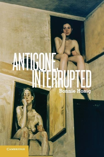 Паперова книга «Antigone, Interrupted», автор Бонні Хоніг - фото №1