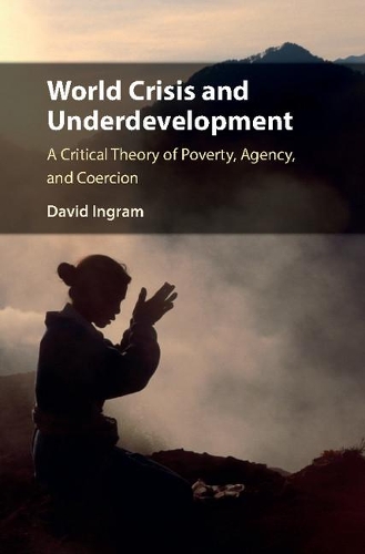 Бумажная книга «World Crisis and Underdevelopment: A Critical Theory of Poverty, Agency, and Coercion», автор Дэвид Ингрэм - фото №1