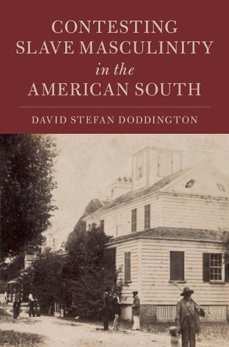 Бумажная книга «Contesting Slave Masculinity in the American South», автор Дэвид Стефан Доддингтон - фото №1