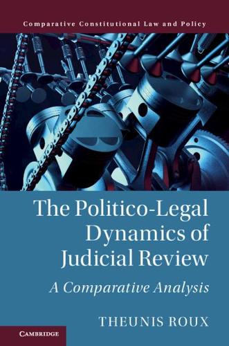 Бумажная книга «The Politico-Legal Dynamics of Judicial Review: A Comparative Analysis», автор Теунис Ру - фото №1