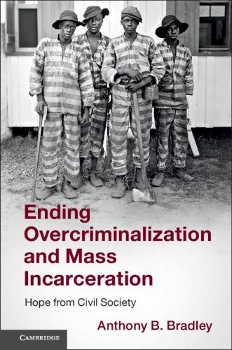 Бумажная книга «Ending Overcriminalization and Mass Incarceration: Hope from Civil Society», автор Энтони Б. Брэдли - фото №1