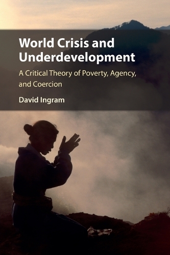 Бумажная книга «World Crisis and Underdevelopment: A Critical Theory of Poverty, Agency, and Coercion», автор Дэвид Ингрэм - фото №1