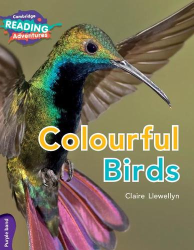Паперова книга «Cambridge Reading Adventures Colourful Birds Purple Band», автор Клер Левеллін - фото №1