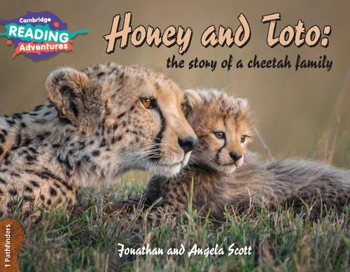 [object Object] «Cambridge Reading Adventures Honey and Toto: The Story of a Cheetah Family 1 Pathfinders» - фото №1