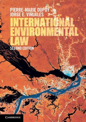 Бумажная книга «International Environmental Law», авторов Хорхе Э. Виньюалес, Пьер-Мари Дюпюи - фото №1