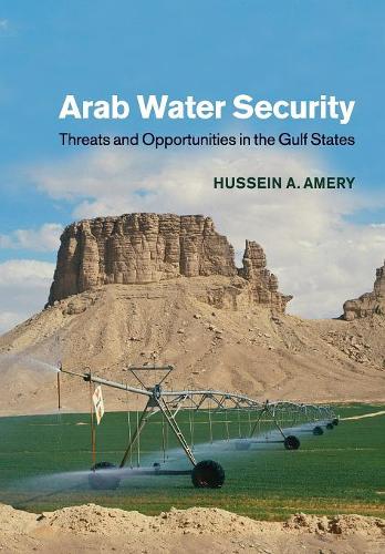 Бумажная книга «Arab Water Security: Threats and Opportunities in the Gulf States», автор Хусейн А. Амери - фото №1