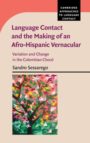 [object Object] «Language Contact and the Making of an Afro-Hispanic Vernacular: Variation and Change in the Colombian Chocó», автор Сандро Сессарего - фото №1