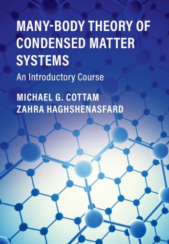 Бумажная книга «Many-Body Theory of Condensed Matter Systems: An Introductory Course», автор Майкл Г. Коттэм - фото №1