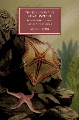 Бумажная книга «The Divine in the Commonplace: Reverent Natural History and the Novel in Britain», автор Эми М. Кинг - фото №1