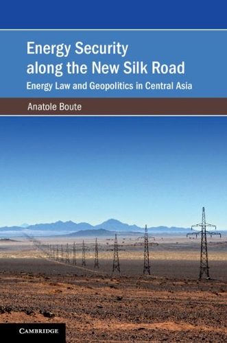 Бумажная книга «Energy Security along the New Silk Road: Energy Law and Geopolitics in Central Asia», автор Анатоль Буте - фото №1