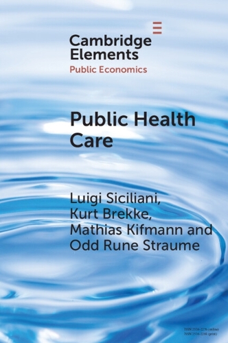 Паперова книга «Public Health Care», автор Матіас Кіфманн - фото №1