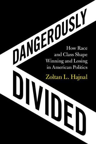 Бумажная книга «Dangerously Divided: How Race and Class Shape Winning and Losing in American Politics», автор Золтан Л. Хайнал - фото №1