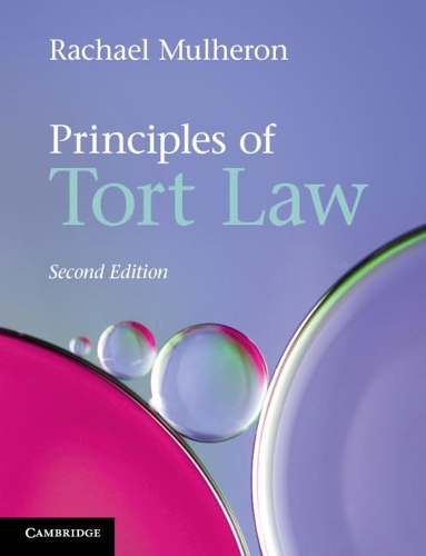 Паперова книга «Principles of Tort Law», автор Рейчел Малхерон - фото №1