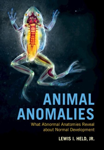 Бумажная книга «Animal Anomalies: What Abnormal Anatomies Reveal about Normal Development», автор Льюис И. Хелд-младший - фото №1