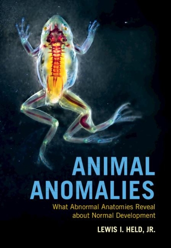 Бумажная книга «Animal Anomalies: What Abnormal Anatomies Reveal about Normal Development», автор Льюис И. Хелд-младший - фото №1