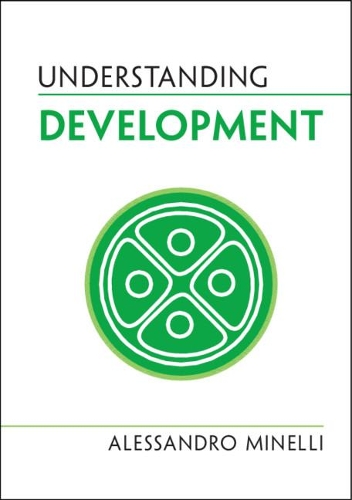 [object Object] «Understanding Development», автор Алессандро Минелли - фото №1