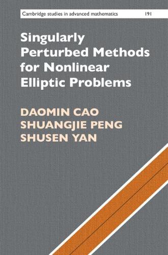 [object Object] «Singularly Perturbed Methods for Nonlinear Elliptic Problems», автор Даомін Цао - фото №1