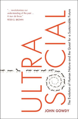 Бумажная книга «Ultrasocial: The Evolution of Human Nature and the Quest for a Sustainable Future», автор Джон М. Гоуди - фото №1