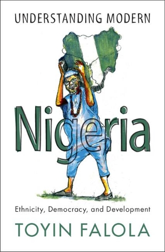 Бумажная книга «Understanding Modern Nigeria: Ethnicity, Democracy, and Development», автор Тойин Фалола - фото №1