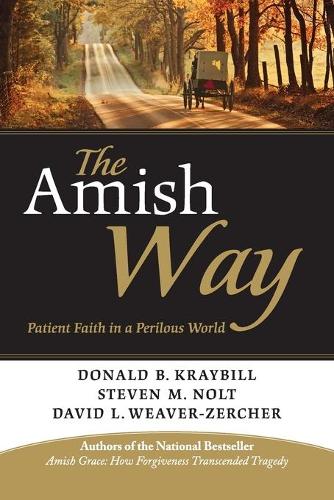 Паперова книга «The Amish Way: Patient Faith in a Perilous World», авторів Девід Л. Вівер-Церчер, Дональд Б. Крейбілл, Стівен М. Нолт - фото №1