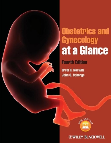 Бумажная книга «Obstetrics and Gynecology at a Glance», авторов Эррол Р. Норвиц, Джон О. Шорге - фото №1