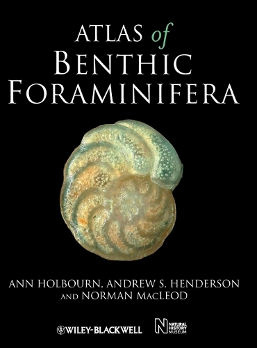 Бумажная книга «Atlas of Benthic Foraminifera», авторов Эндрю С. Хендерсон, Энн Холборн, Норман Маклеод - фото №1