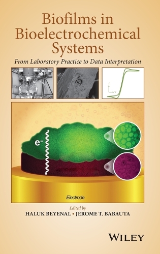 Бумажная книга «Biofilms in Bioelectrochemical Systems: From Laboratory Practice to Data Interpretation», авторов Халук Бейеналь, Джером Т. Бабаута - фото №1