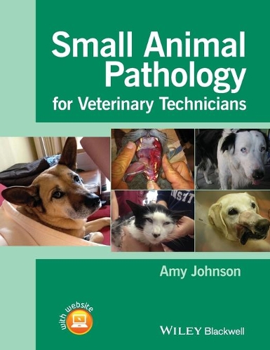 Паперова книга «Small Animal Pathology for Veterinary Technicians», автор Емі Джонсон - фото №1