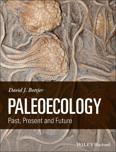 Паперова книга «Paleoecology: Past, Present and Future», автор Девід Дж. Боттджер - фото №1
