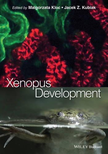 Бумажная книга «Xenopus Development», авторов Яцек З. Кубяк, Малгожата Клок - фото №1