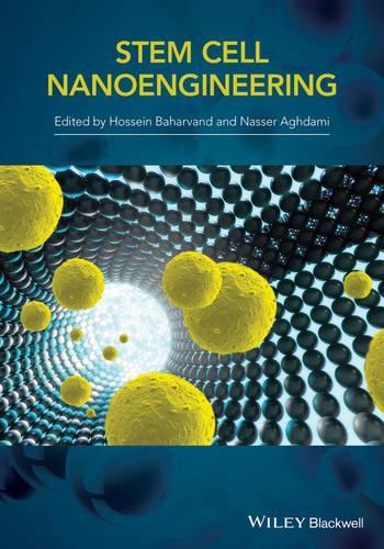 Паперова книга «Stem-Cell Nanoengineering», автор Х. Бахарванд - фото №1