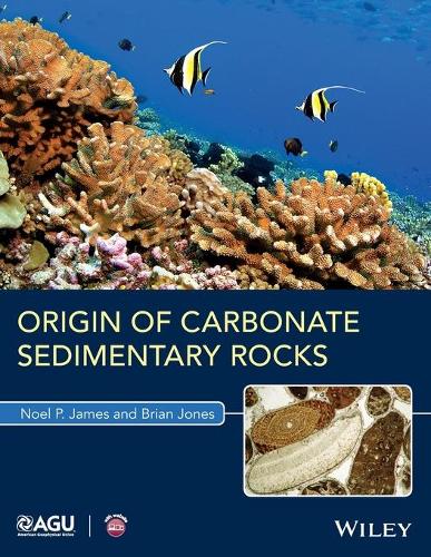 Паперова книга «Origin of Carbonate Sedimentary Rocks», авторів Брайан Джонс, Ноель П. Джеймс - фото №1
