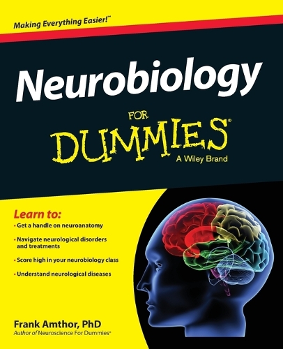 Паперова книга «Neurobiology For Dummies», автор Франк Амтор - фото №1