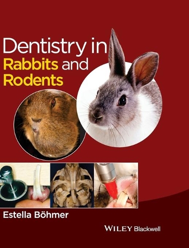 Бумажная книга «Dentistry in Rabbits and Rodents», автор Эстелла Бёмер - фото №1