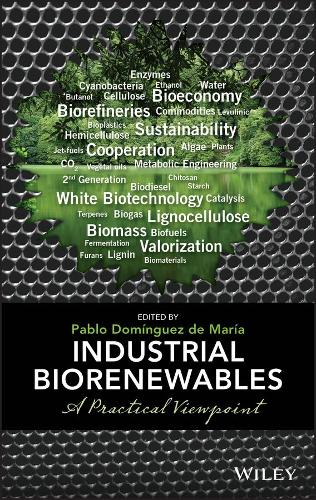 Паперова книга «Industrial Biorenewables: A Practical Viewpoint», автор Пабло Домінгес де Марія - фото №1