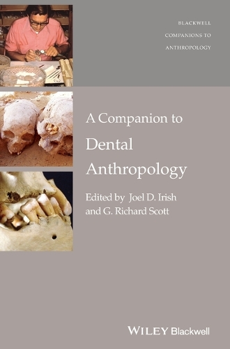 Бумажная книга «A Companion to Dental Anthropology», авторов Г. Ричард Скотт, Джоэл Д. Айриш - фото №1