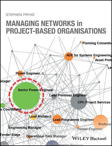 Паперова книга «Managing Networks in Project-Based Organisations», автор Стівен Прайк - фото №1
