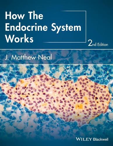 Паперова книга «How the Endocrine System Works», автор Дж. Метью Ніл - фото №1
