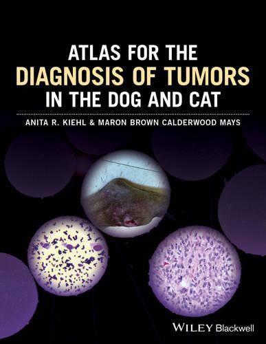 Бумажная книга «Atlas for the Diagnosis of Tumors in the Dog and Cat», авторов Анита Р. Киль, Марон Браун Колдервуд Мэйс - фото №1