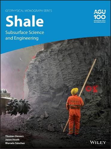 Бумажная книга «Shale: Subsurface Science and Engineering», авторов Джейсон Хит, Марсело Санчес, Томас Дьюерс - фото №1
