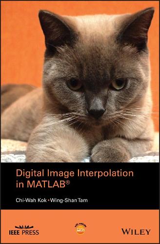 [object Object] «Digital Image Interpolation in Matlab», авторов Чи-Ва Кок, Винг-Шан Там - фото №1